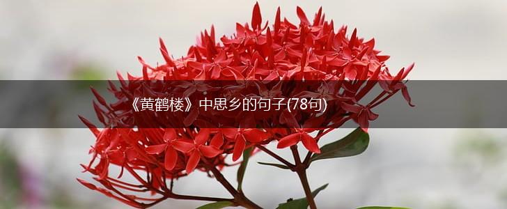 《黄鹤楼》中思乡的句子(78句),第1张