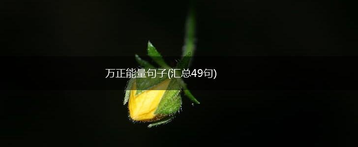 万正能量句子(汇总49句),第1张