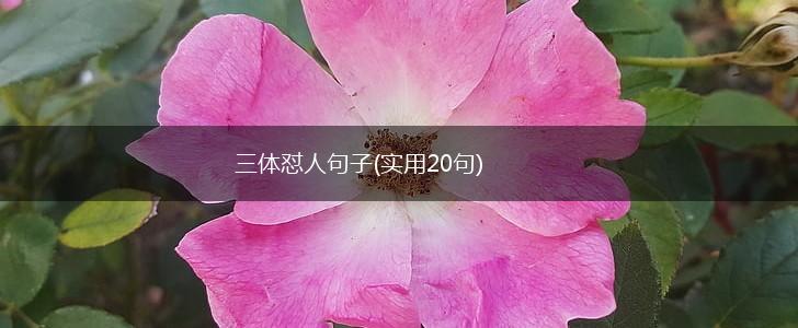 三体怼人句子(实用20句),第1张