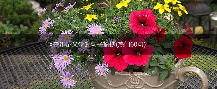 《鲁迅论文学》句子摘抄(热门60句),第1张
