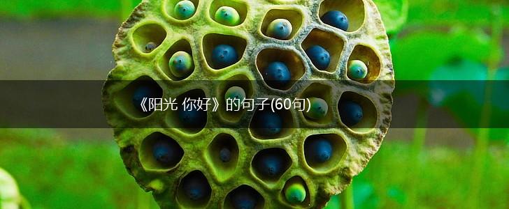 《阳光 你好》的句子(60句),第1张