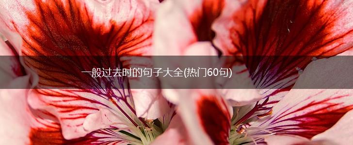一般过去时的句子大全(热门60句),第1张