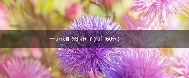 一束束阳光的句子(热门60句),第1张