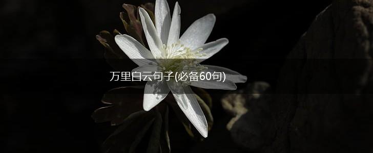 万里白云句子(必备60句),第1张