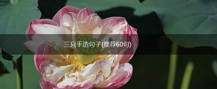 三只手造句子(推荐60句),第1张