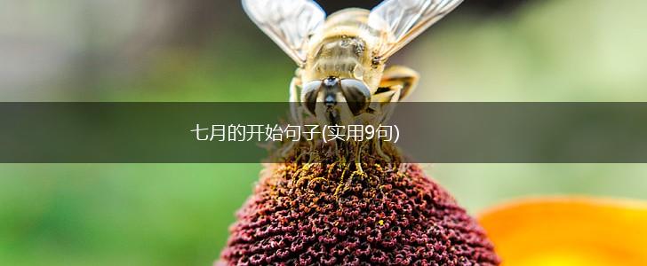 七月的开始句子(实用9句),第1张
