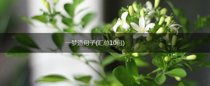 一梦造句子(汇总10句),第1张