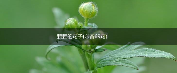一颗颗的句子(必备69句),第1张