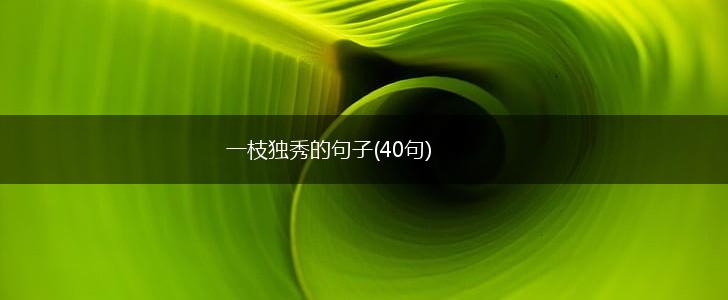 一枝独秀的句子(40句),第1张