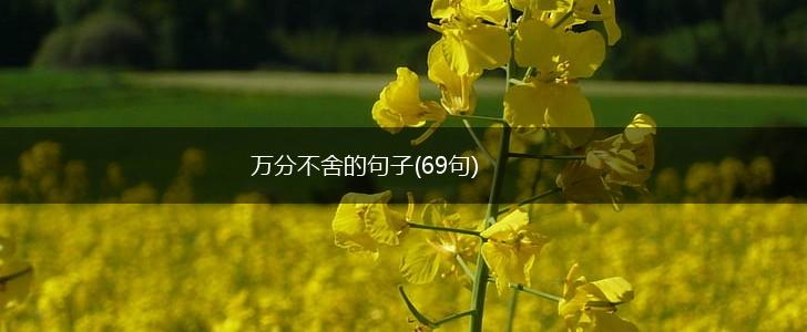 万分不舍的句子(69句),第1张