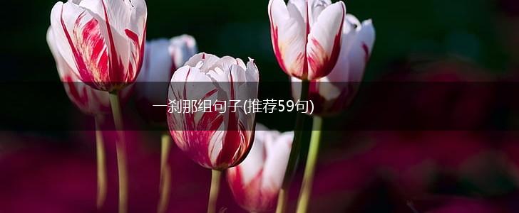 一刹那组句子(推荐59句),第1张