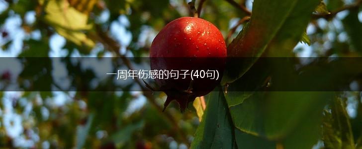 一周年伤感的句子(40句),第1张