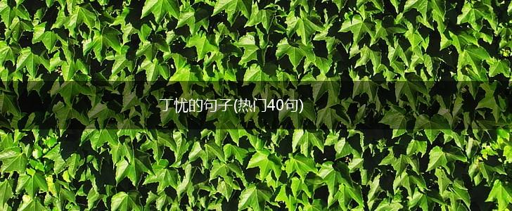 丁忧的句子(热门40句),第1张