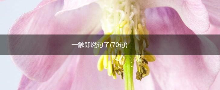 一触即燃句子(70句),第1张