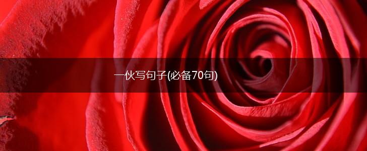一伙写句子(必备70句),第1张