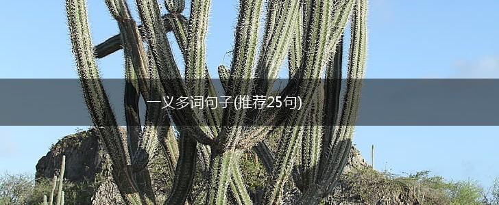 一义多词句子(推荐25句),第1张