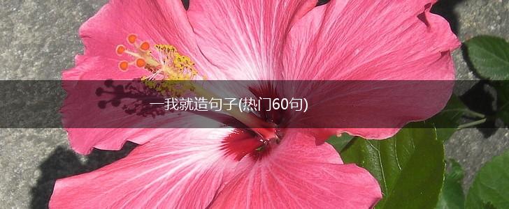 一我就造句子(热门60句),第1张