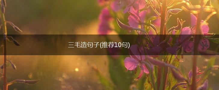 三毛造句子(推荐10句),第1张