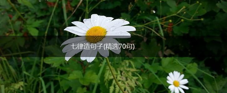 七律造句子(精选70句),第1张