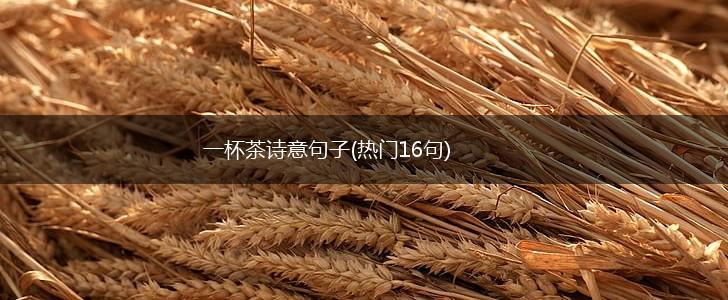 一杯茶诗意句子(热门16句),第1张