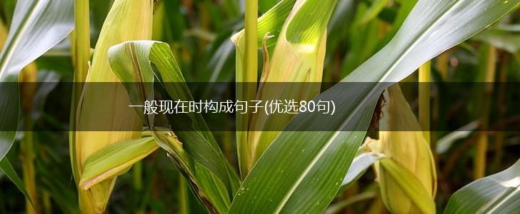 一般现在时构成句子(优选80句),第1张