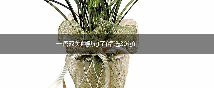 一语双关幽默句子(精选30句),第1张