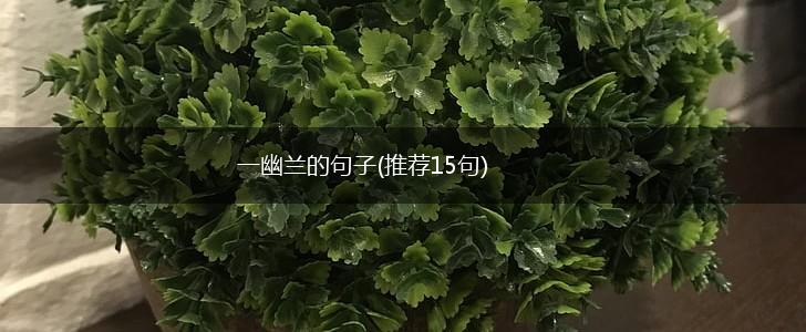 一幽兰的句子(推荐15句),第1张