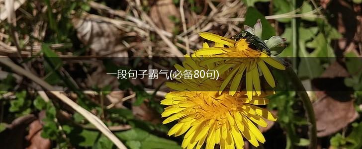 一段句子霸气(必备80句),第1张