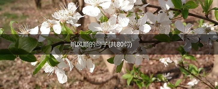 一帆风顺的句子(共80句),第1张