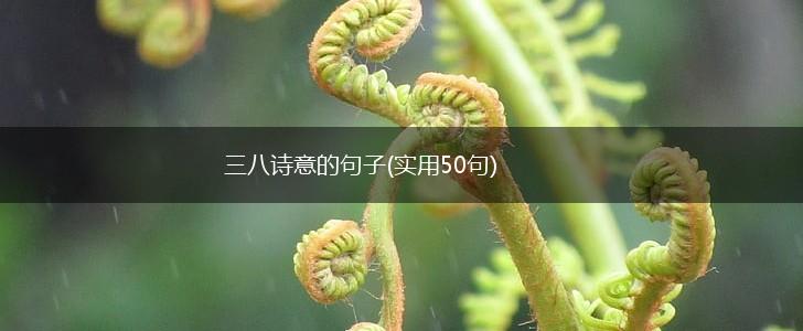 三八诗意的句子(实用50句),第1张