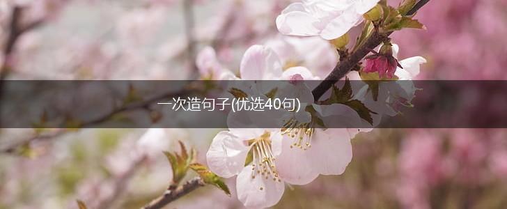 一次造句子(优选40句),第1张