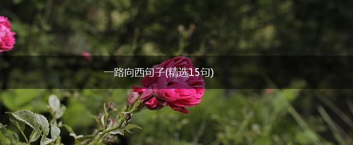 一路向西句子(精选15句),第1张