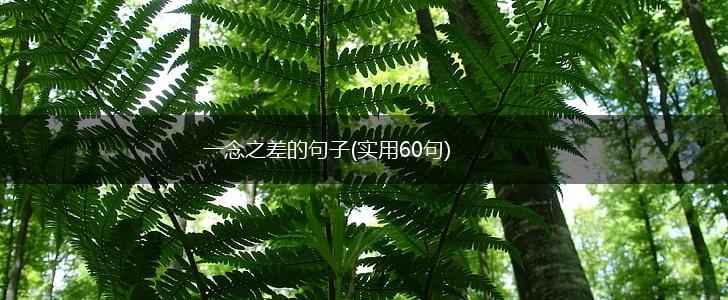 一念之差的句子(实用60句),第1张