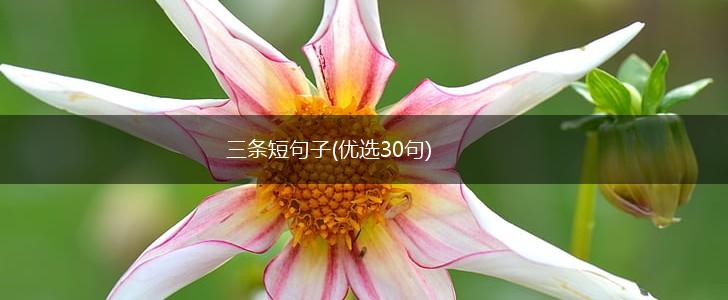 三条短句子(优选30句),第1张