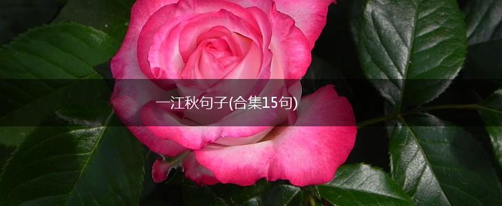 一江秋句子(合集15句),第1张