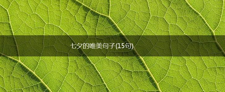 七夕的唯美句子(15句),第1张
