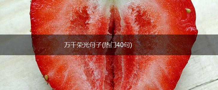 万千荣光句子(热门40句),第1张