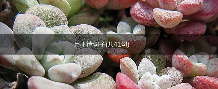 一旦不造句子(共41句),第1张