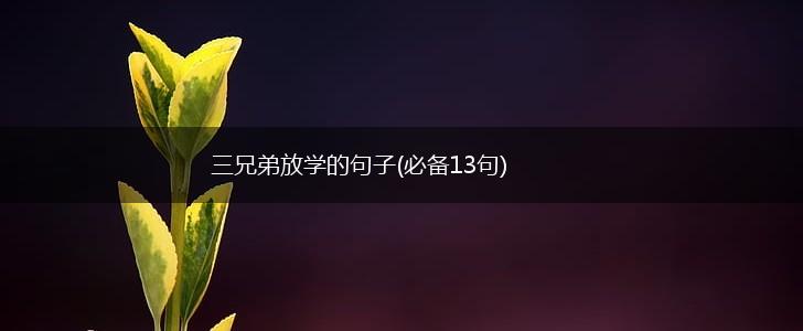 三兄弟放学的句子(必备13句),第1张