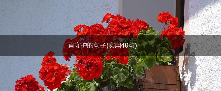 一直守护的句子(实用40句),第1张