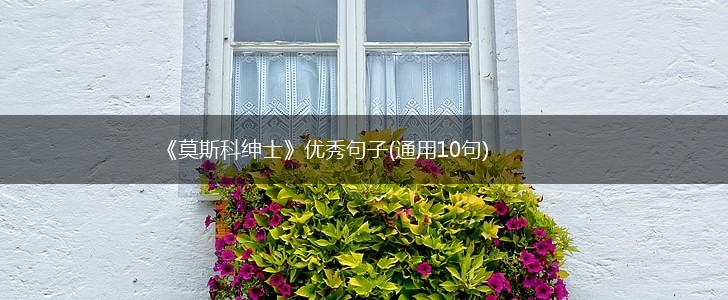 《莫斯科绅士》优秀句子(通用10句),第1张