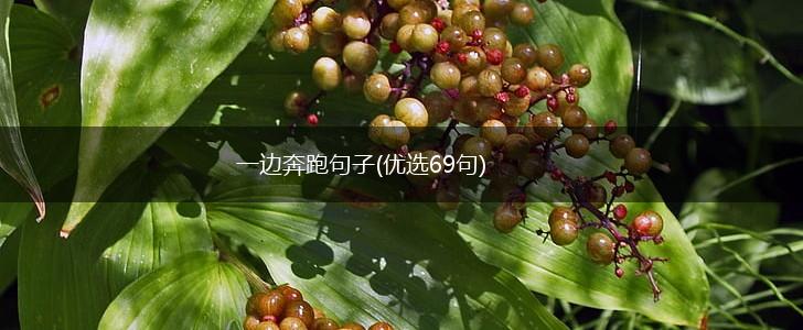 一边奔跑句子(优选69句),第1张