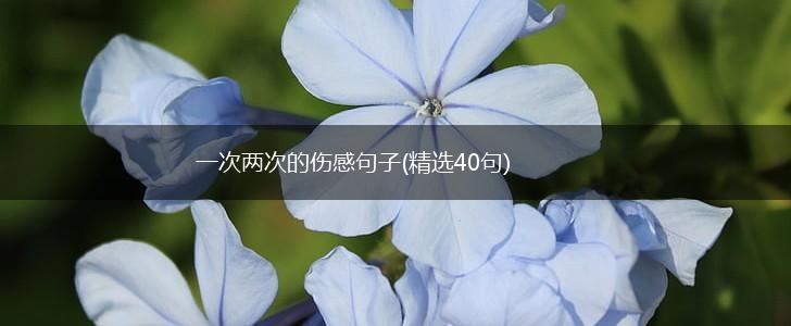 一次两次的伤感句子(精选40句),第1张