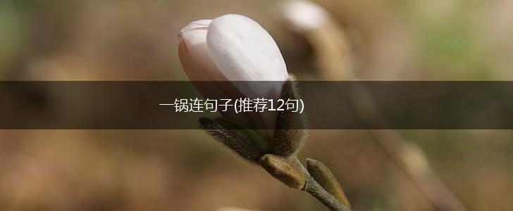 一锅连句子(推荐12句),第1张