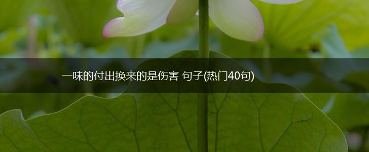一味的付出换来的是伤害 句子(热门40句),第1张