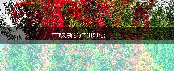 三亚风景的句子(共51句),第1张