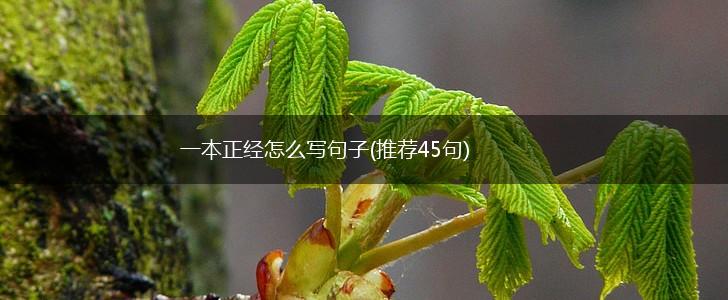一本正经怎么写句子(推荐45句),第1张