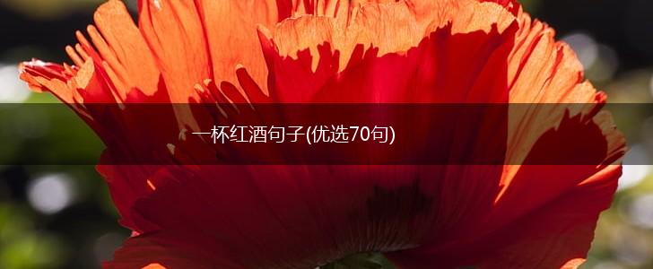 一杯红酒句子(优选70句),第1张