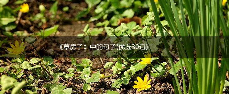 《草房子》中的句子(优选30句),第1张