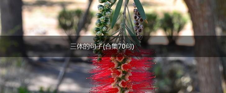 三体的句子(合集70句),第1张